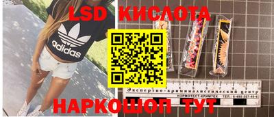 ешки Сланцы