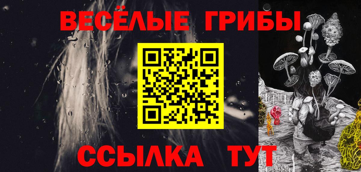 Новороссийск  Псилоцибиновые грибы ЛСД  Галлюциногенные грибы ЛСД  Вход с VPN 