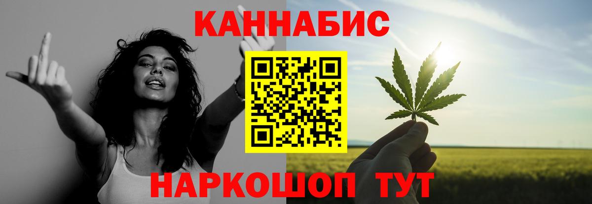 Конопля план Новороссийск